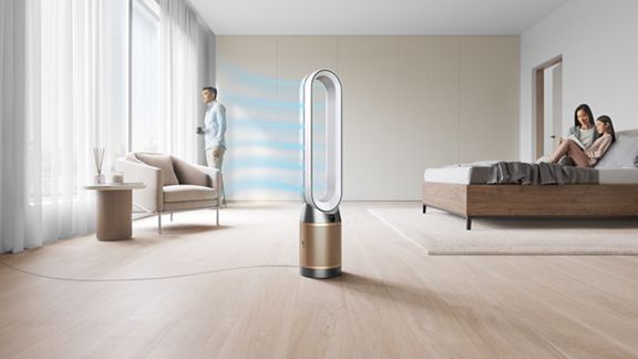 Dyson Purifier Cool Formaldehyde™ TP09 purifying fan (Nickel/Gold)
